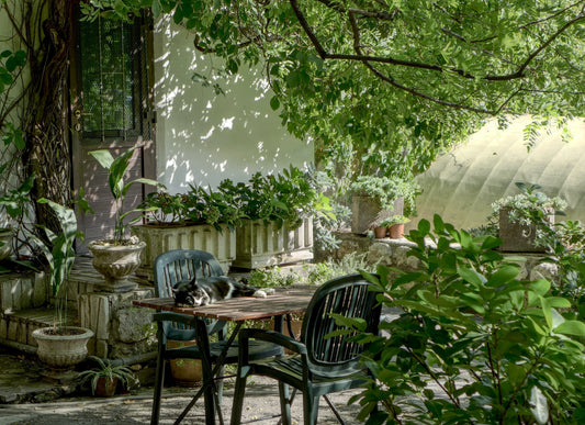 How to Enjoy Speakers in Your Garden