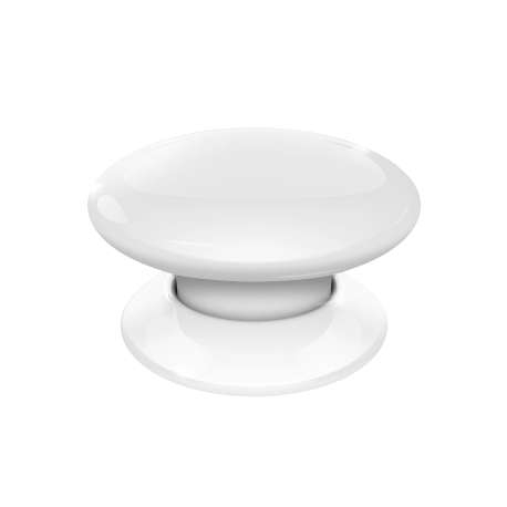 The Button