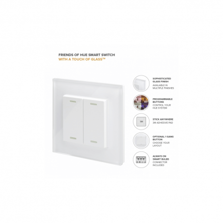 RETROTOUCH FRIENDS OF HUE SMART SWITCH