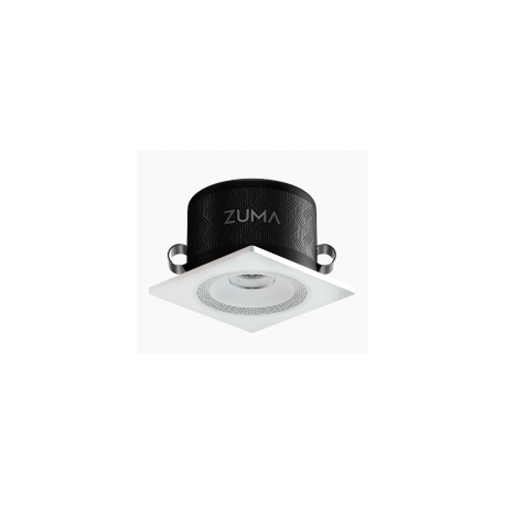 Zuma Luminaire