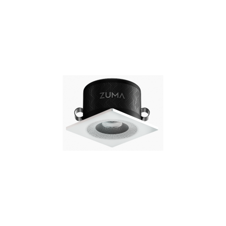 Zuma Luminaire