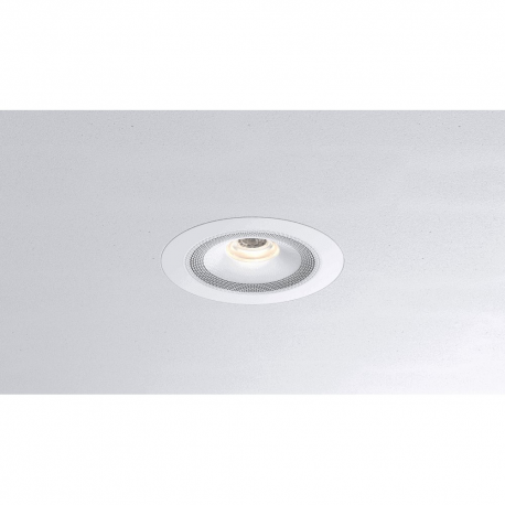Zuma Luminaire