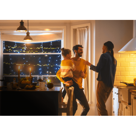 EVVR Smart Relay Zigbee 3.0