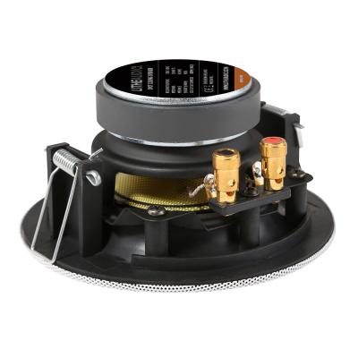 Lithe Audio 3" Spot Ceiling Speaker