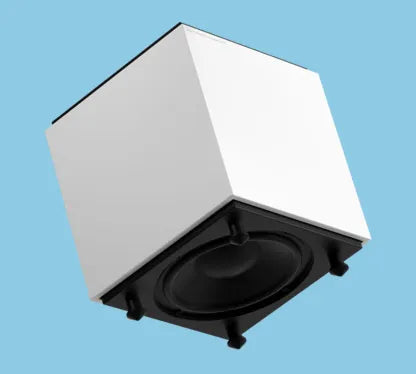 RoomSub 10 - 300W Subwoofer