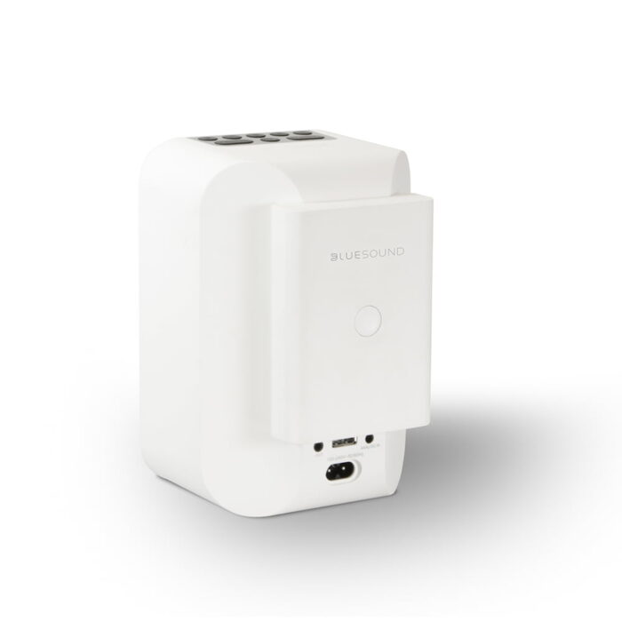 Bluesound BP100 Battery Pack for PULSE FLEX Speaker