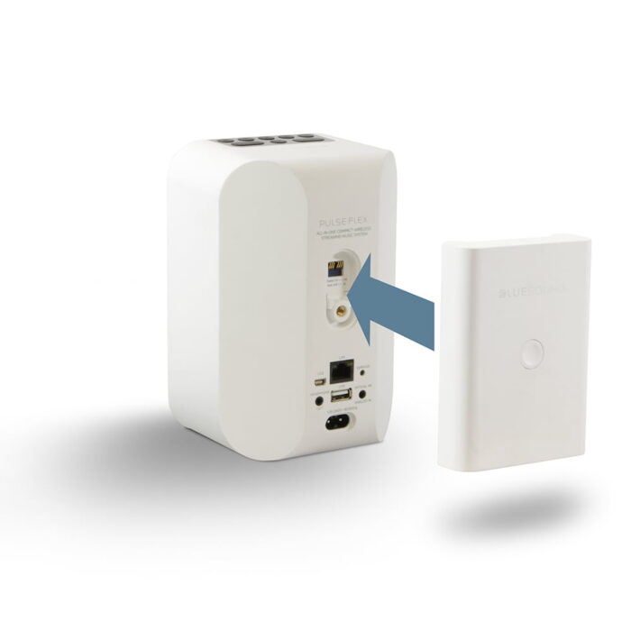 Bluesound BP100 Battery Pack for PULSE FLEX Speaker