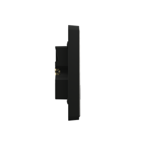 Lightwave 2 Gang Smart Socket (stainless steel)