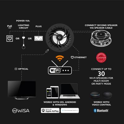 Lithe Audio Pro Series IP44 Bluetooth & Wireless Ceiling Speaker