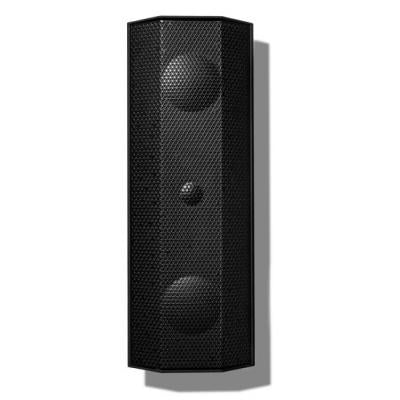 Lithe Audio IO1 Indoor & Outdoor Speaker - Passive